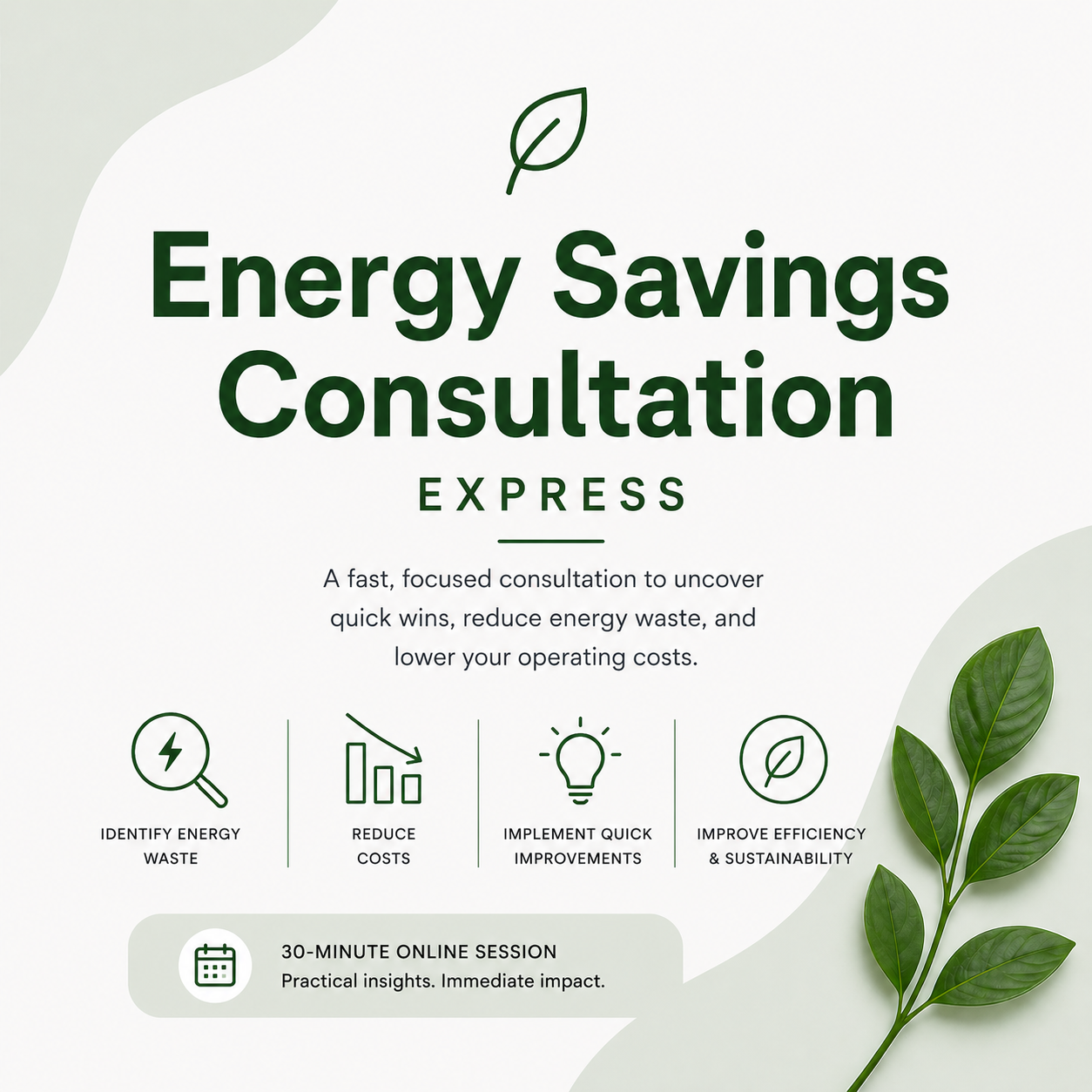 Energy Savings Consultation Express